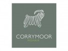 Companion, ribbestrikket ullsokk med forsterket såle fra Corrymoor, sort (alle str) thumbnail