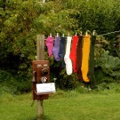 Adventurer, ekstra tykke sokker fra Corrymoor, okergul thumbnail