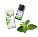 Spearmint – Økologisk Eterisk Olje fra The Nature of Things, 12ml thumbnail