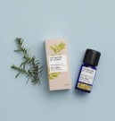 Tea Tree – Tetre Eterisk Olje fra The Nature of Things, 12ml thumbnail