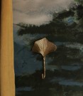 Flora Ginko-knagg thumbnail