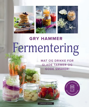 Fermentering, av Gry Hammer 