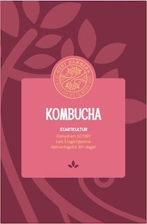 Kombucha startkultur fra Gry Hammer