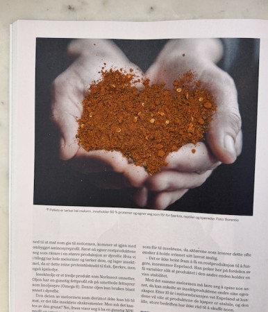 Fat og fe sitt eget nydelige tacokrydder økologisk, 100g, løsvekt