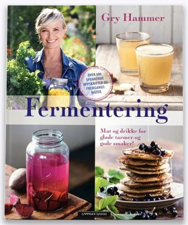 Fermentering, av Gry Hammer 