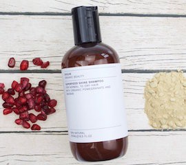 EVOLVE Superfood Shine Shampoo